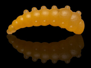 Soorex Major 36mm Orange GLOW
