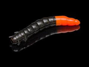 Soorex King Worm 55mm Black Orange