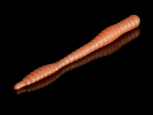 Soorex Worm Peach