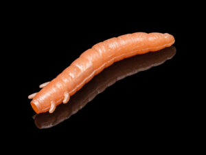 Soorex King Worm 55mm Peach