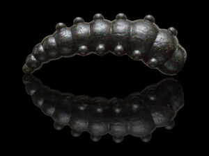 Soorex Major 36mm Black Knoblauch