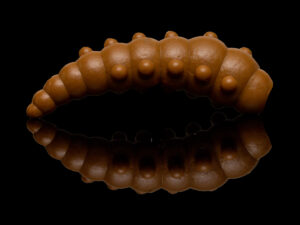 Soorex Major 36mm Latte
