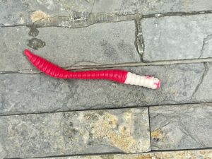 Soorex Worm White/Fuchsia