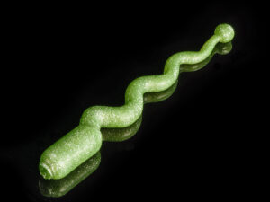 Soorex Pro Twitcher NEU limepearl