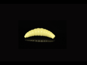 Soorex  Maggot 42 mm Yellow Käse