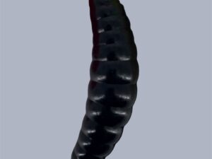 Soorex  Maggot 42 mm Black Käse