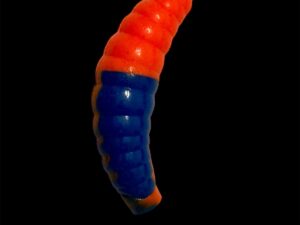 Soorex  Maggot 42 mm Blue Orange Käse