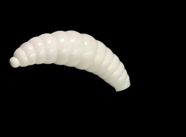 Soorex  Maggot 42 mm White Käse
