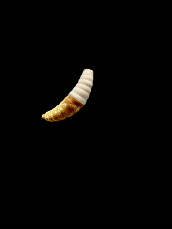 Soorex  Maggot 42 mm White Gold Käse