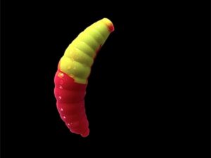 Soorex  Maggot 42 mm Chartreuse Fuchsia Käse